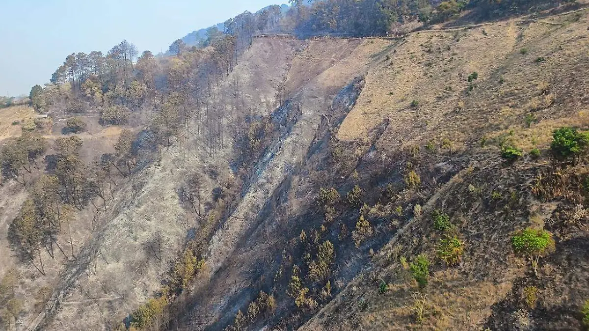 Al menos 20 hectáreas afectadas, dos brigadistas lesionados y suspensión de actividades en siete escuelas dejó el incendio forestal en Xonotla